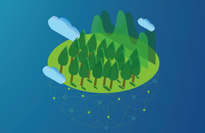 Digital Technology Shaping Green and Sustainable Lifestyles: Exploring Alipay Ant Forest