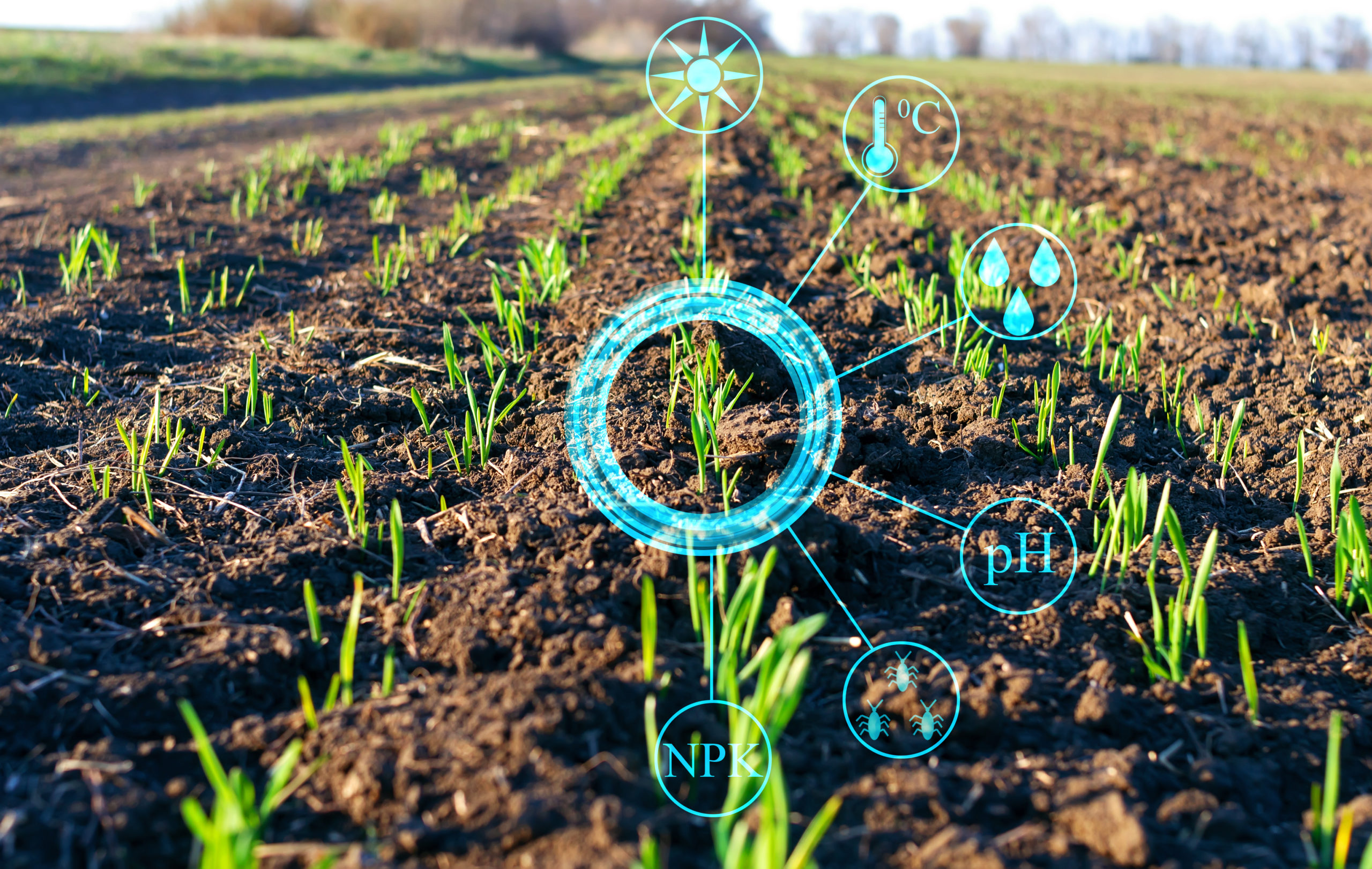 Future of AI in Agriculture
