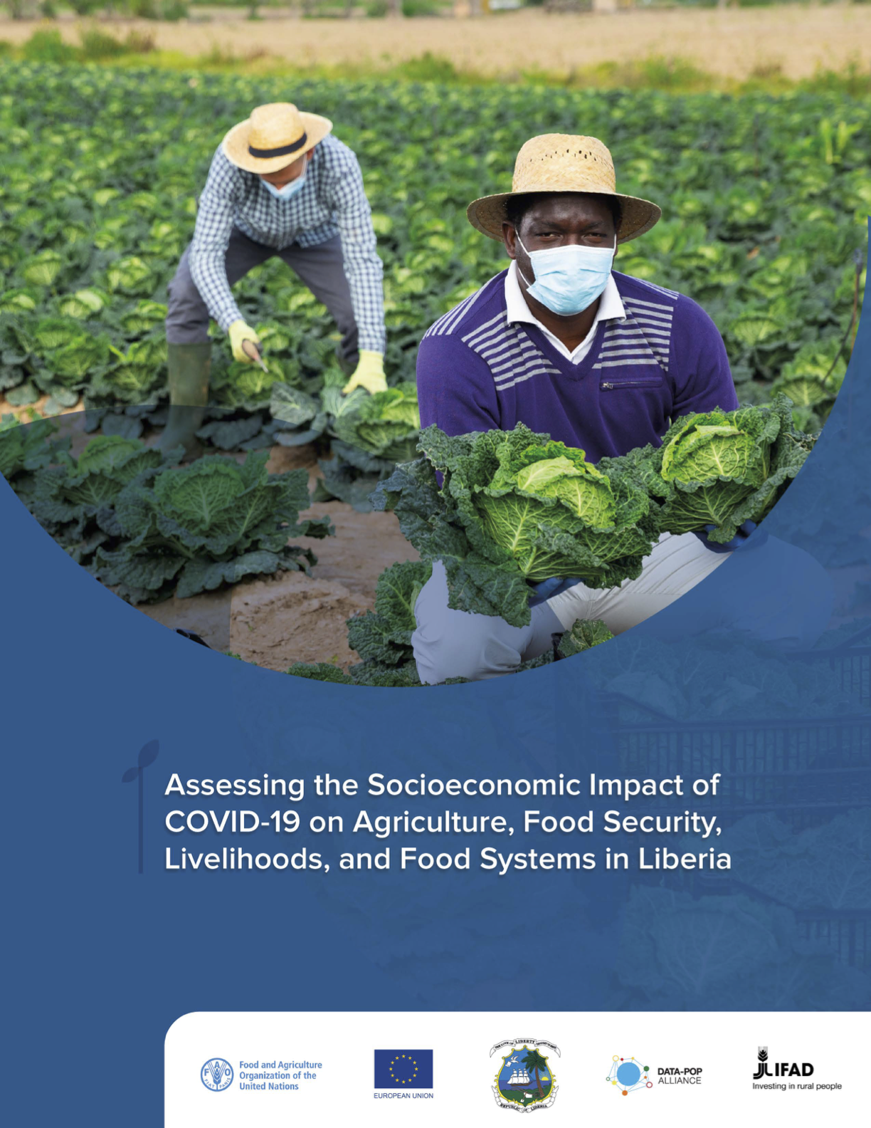 Assessing the Socioeconomic Impact of COVID-19 on Agriculture, Food Security, Livelihood and Food Systems in Liberia
