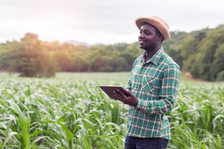African,Farmer,Stand,In,The,Green,Farm,With,Holding,Tablet